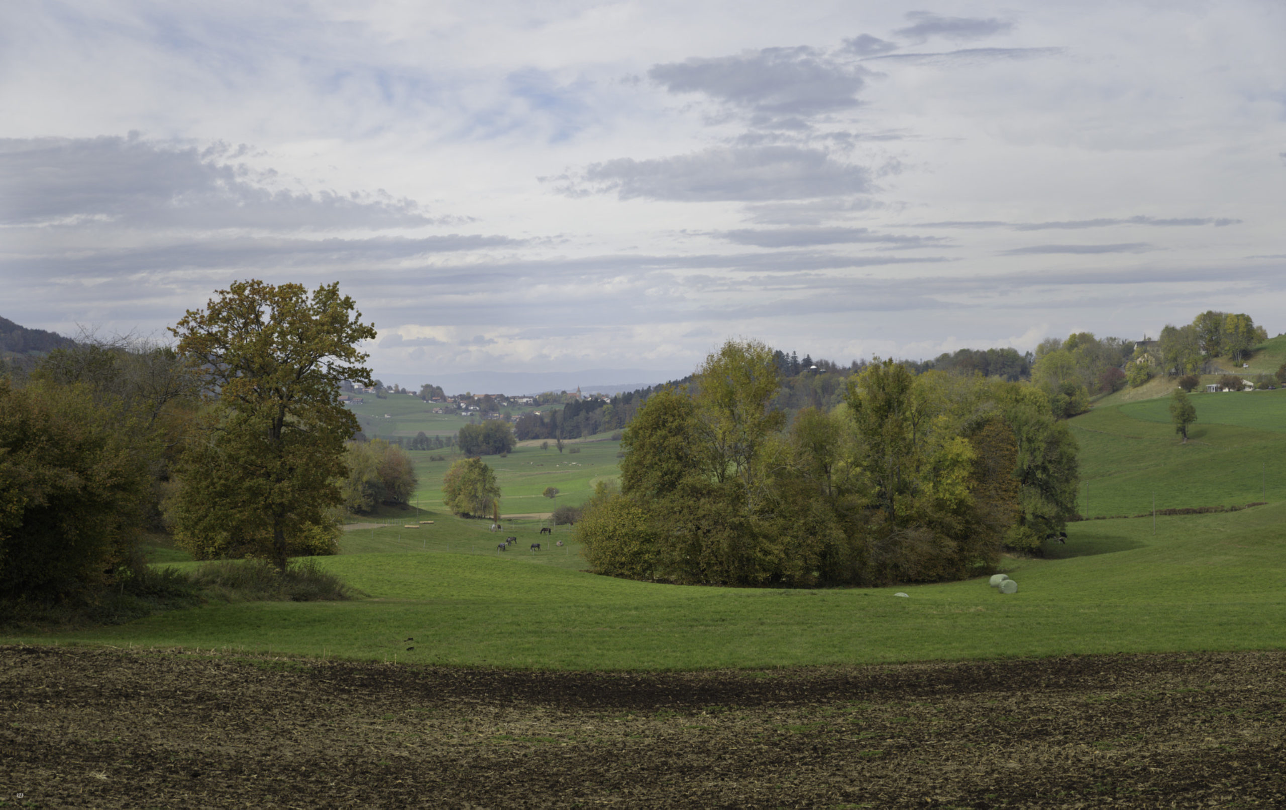Autumnal View On Granges